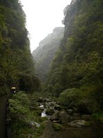 Click to see big picture (784x1045 pixels; 105 KB)